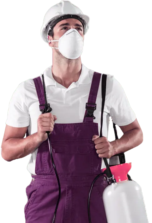 Cheap Bond Cleaning Perth pest services