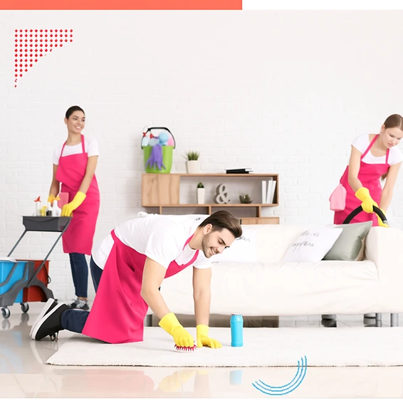 best bond cleaning services