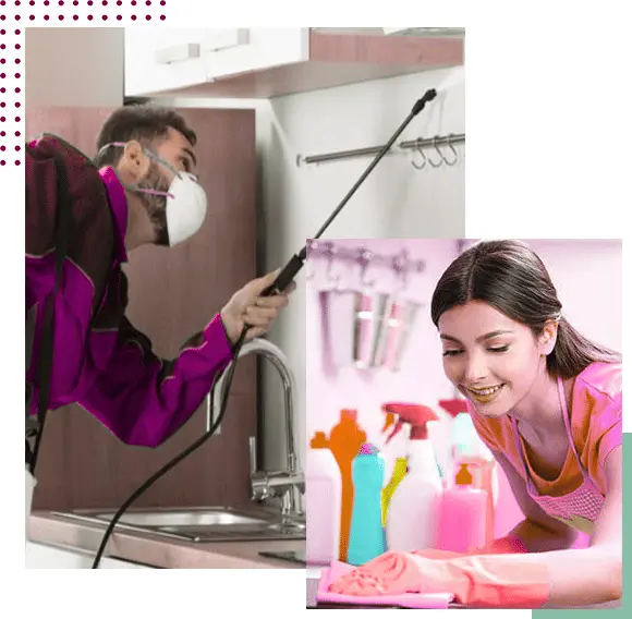 pest control Perth services