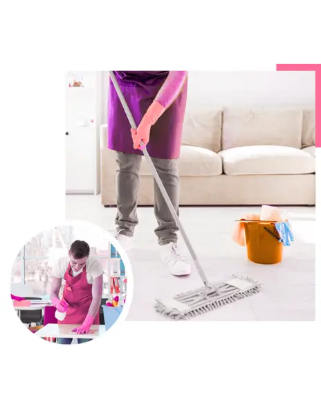 flea pest treatment Perth
